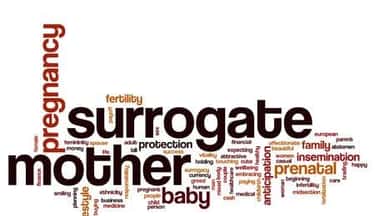 Traditional Surrogacy and Gestational Surrogacy
