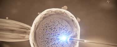 IVF Treatment and Infertility