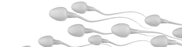 IVF with Own Oocytes and the Donor’s Sperm Cost in Czechia, IVF Clinic