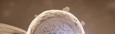 Vitrification of Embryos: Main Issues. Dilemmas. Breakthroughs. Perspectives