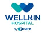 ICSI IVF Wellkin Hospital: 