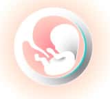 Egg Donor KZN Fertility Clinic: 