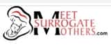 Same Sex (Gay) Surrogacy Meet Surrogate Mothers Agency: 