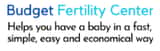 In Vitro Fertilization Budget IVF: 