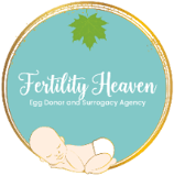  Fertility Heaven Egg Donor & Surrogacy Agency: 