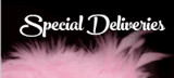  Special Deliveries LLC: 