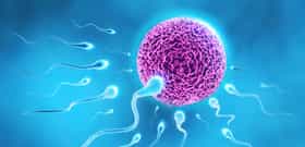 IVF with Egg & Sperm Donation Cost, Czechia