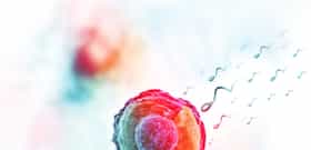 IVF with Own Oocytes & the Partner’s Sperm Cost in Czechia