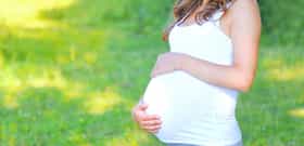 Surrogacy with Frozen Embryo Transfer Cost in Ukraine, VittoriaVitta