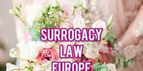 Surrogacy Law: Andorra, Austria, Belgium, Bosnia and Herzegovina, Croatia, Cyprus, Denmark