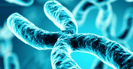 CRISPR Technology for Genome Editing