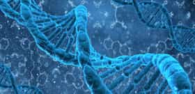 Genome Mutations: Why do they Happen?