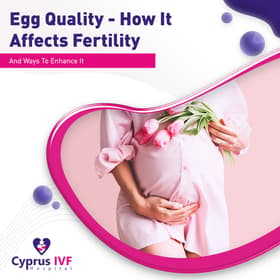 Egg Quality – How It Affects Fertility And Ways To Enhance It