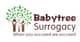 Fertility clinic Babytree Surrogacy Lancaster in Lancaster CA