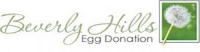 Beverly Hills Egg Donation: 