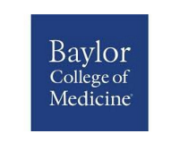 Fertility Clinic Baylor College of Medicine  in Houston TX