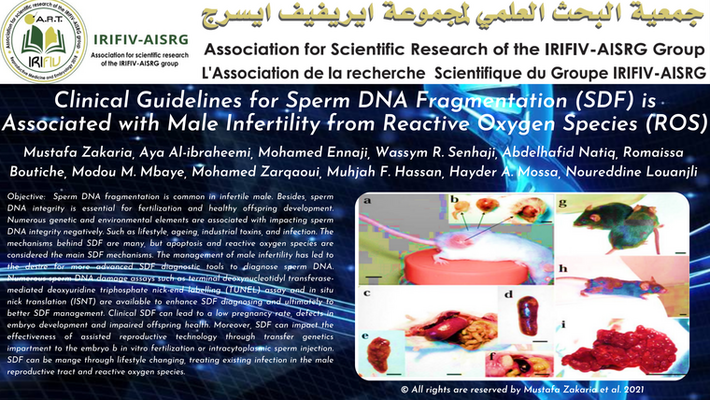 Clinical Guidelines for Sperm DNA Fragmentation (SDF) is Associated with Male Infertility from Reactive Oxygen Species (ROS)